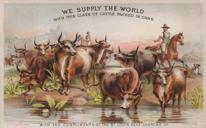 Kovbojové na dobytčí jízdě, reklama na St Louis Beef Canning Company od American School