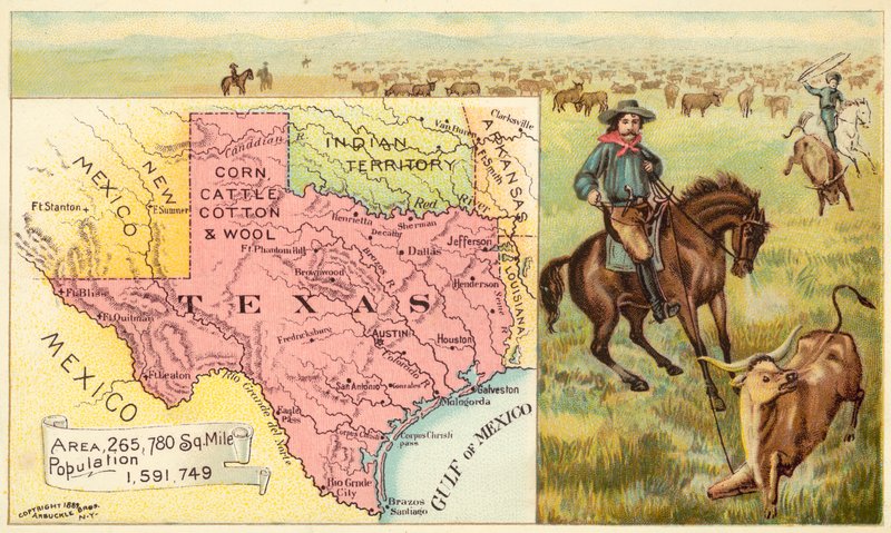Texas, USA od American School