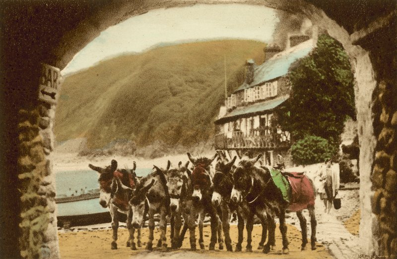 Clovelly, dostihový hřebčín od English Photographer