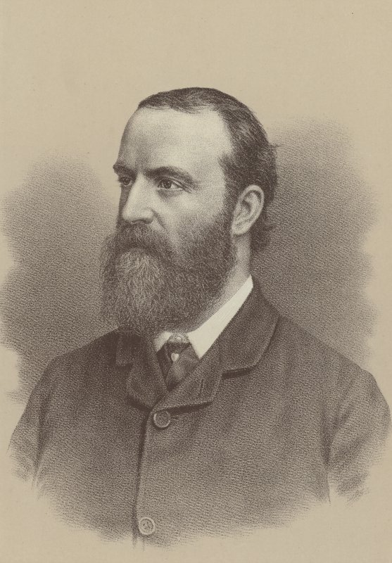 Charles Stewart Parnell , irský nacionalistický politický vůdce, agitátor pozemkové reformy a zakladatel a vůdce irské parlamentní strany od English School