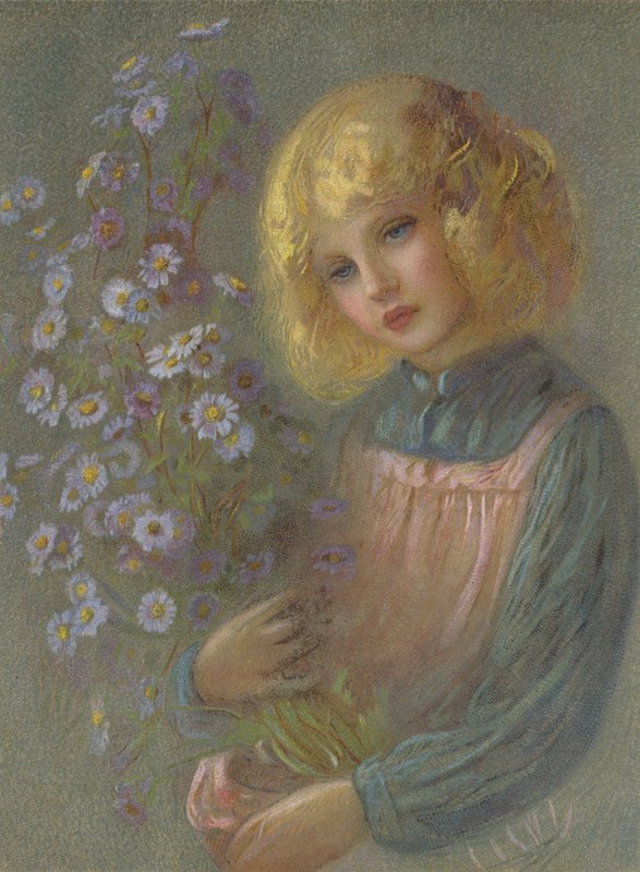 Michaelmas Daisies od English School