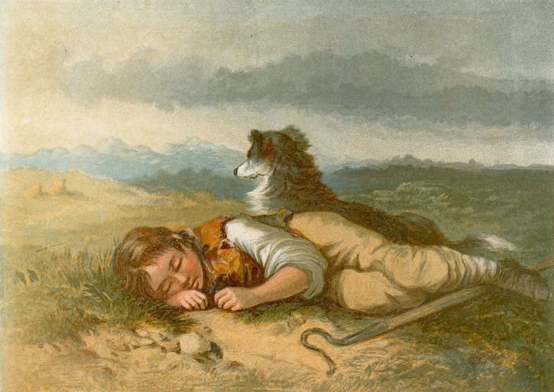 The Shepherd Boy od English School