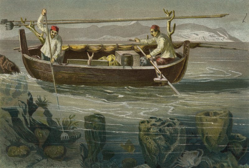 Schwammfischerei An Der Dalmatinischen Kuste od European School