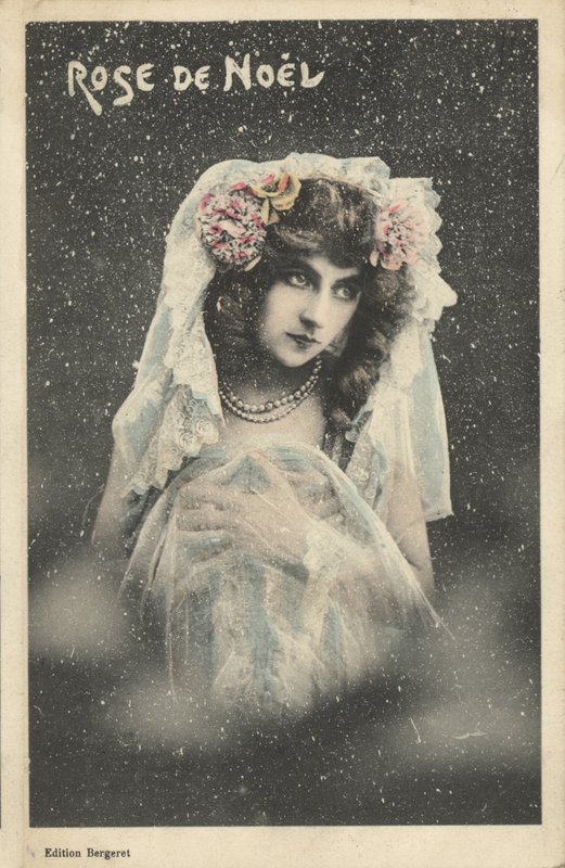Vánoční růže od French Photographer