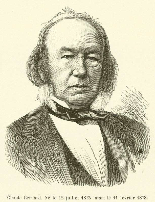 Claude Bernard, Ne le 12 juillet 1813 mort le 11 fevrier 1878 od French School