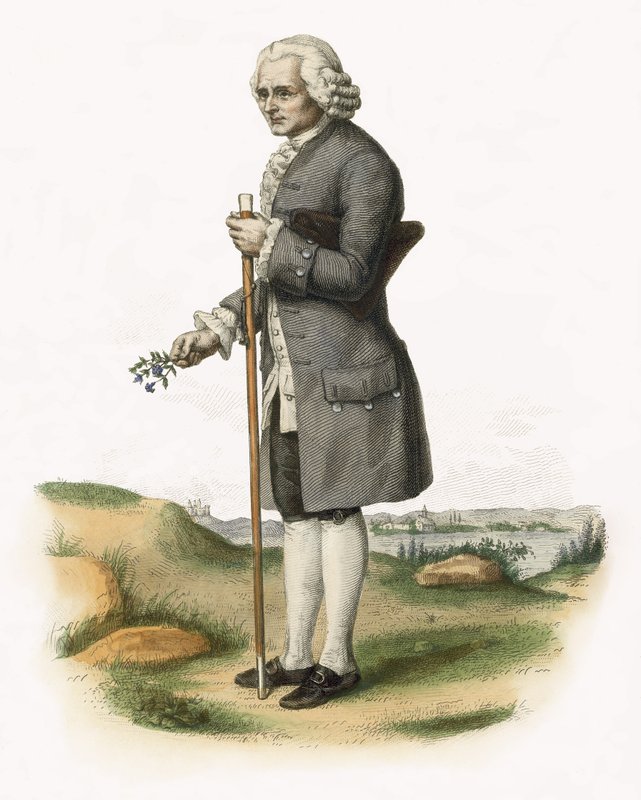 Jean Jacques Rousseau od French School