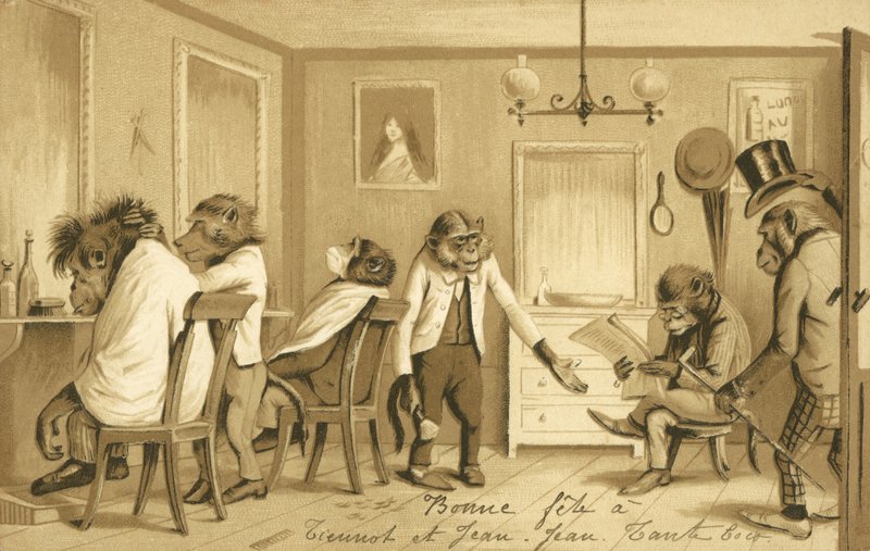 Opice provozující holičství od French School