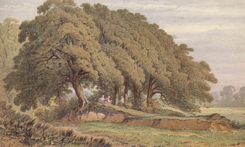 Studie skupiny dubů u Elthamu, Kent (chromolit) od Aaron Edwin Penley