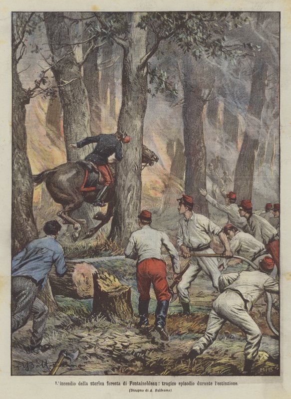 Požár historického lesa Fontainebleau, tragická epizoda během vyhynutí od Achille Beltrame