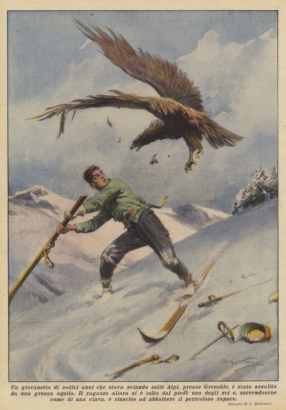 Šestnáctiletého chlapce, který lyžoval v Alpách nedaleko Grenoblu, napadl velký orel. od Achille Beltrame