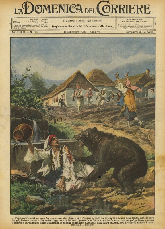 V Bokainu (Bosna) napadl medvěd dvě ženy, které čerpaly vodu z pramene. od Achille Beltrame