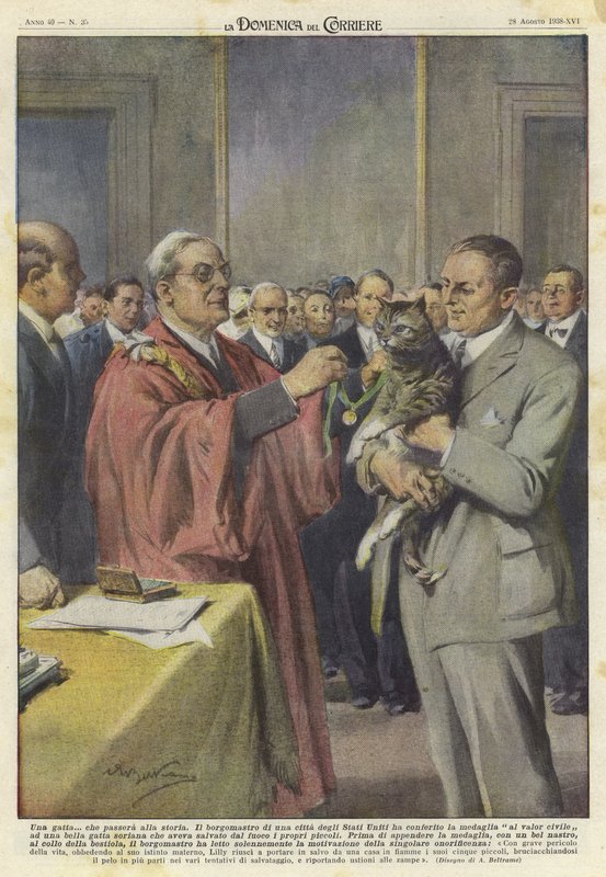 Kočka oceněná medailí od Achille Beltrame
