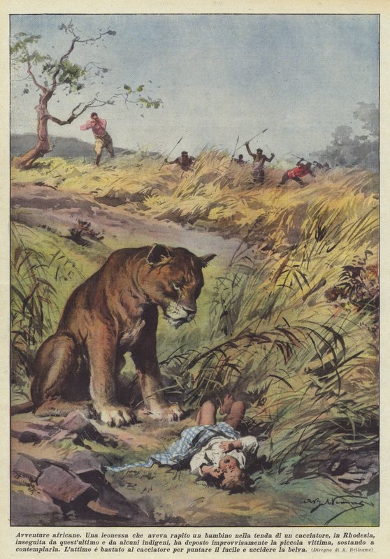 Africká dobrodružství od Achille Beltrame