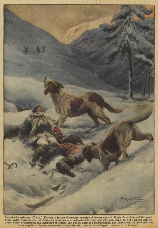 Psi, kteří zachraňují od Achille Beltrame