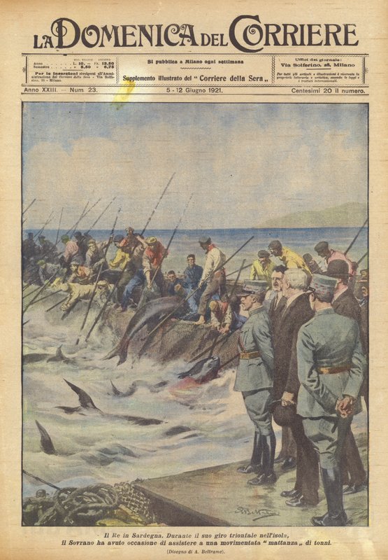 Král na Sardinii od Achille Beltrame