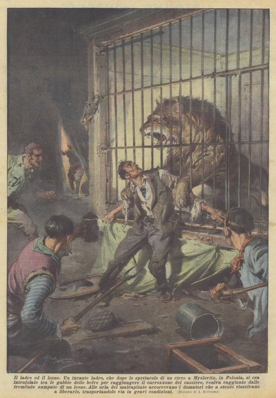 Zloděj a lev od Achille Beltrame