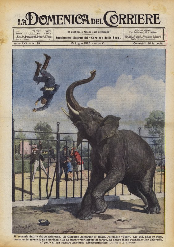Druhý zločin pachydermů od Achille Beltrame