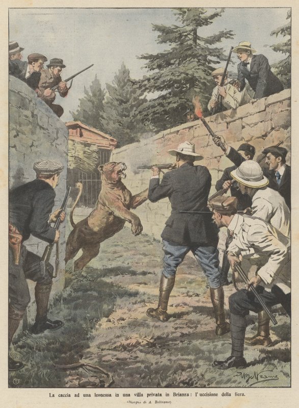 Hon na lvici v soukromé vile v Brianze, zabíjení na veletrhu od Achille Beltrame