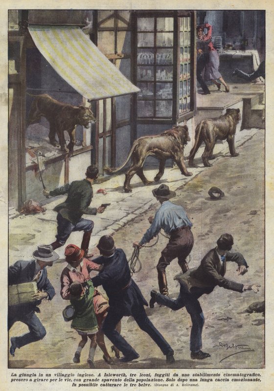 Džungle v anglické vesnici od Achille Beltrame