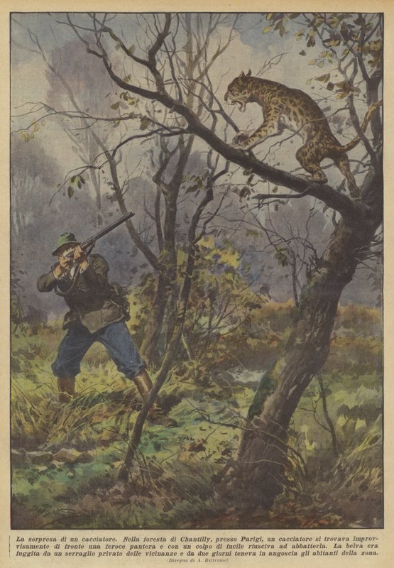 Překvapení lovce od Achille Beltrame