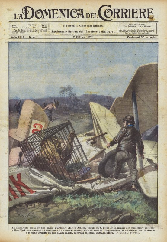 Letecký přelet šelmy od Achille Beltrame
