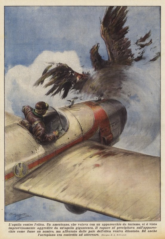 Laquila v. Helica od Achille Beltrame