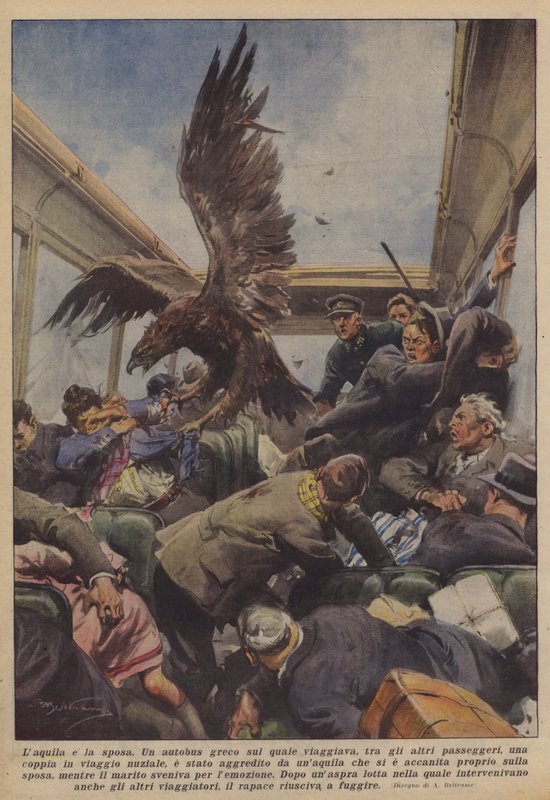 Laquila a nevěsta od Achille Beltrame