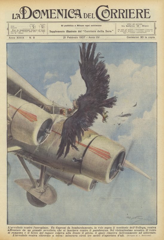 Lavvoltoio versus laeroplane od Achille Beltrame