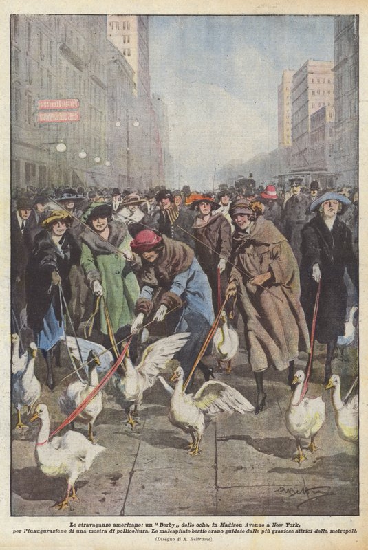 Americké extravagance, husí derby, na Madison Avenue v New Yorku, na inauguraci? od Achille Beltrame