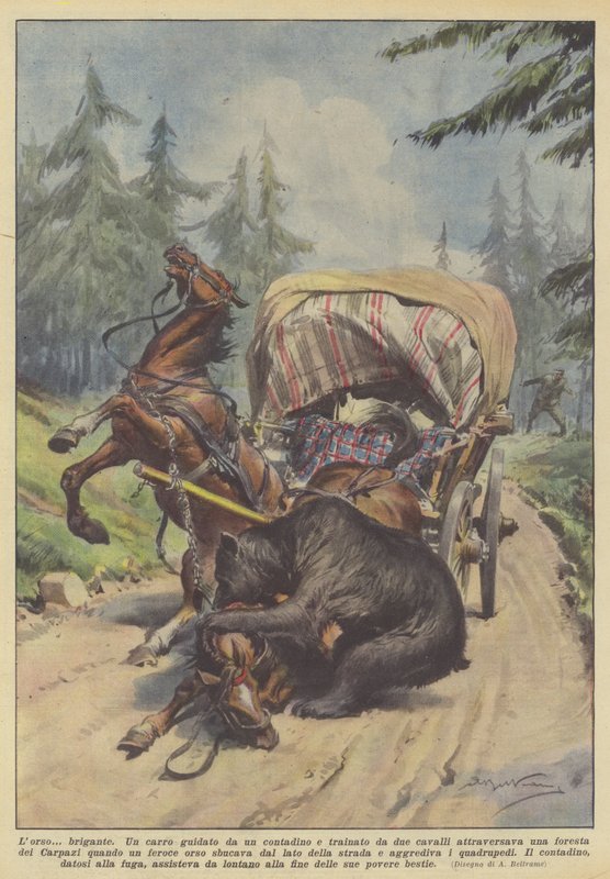 Lorso? bandita od Achille Beltrame