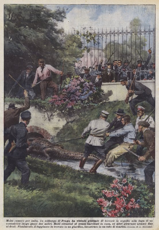 Mnoho povyku pro nic od Achille Beltrame