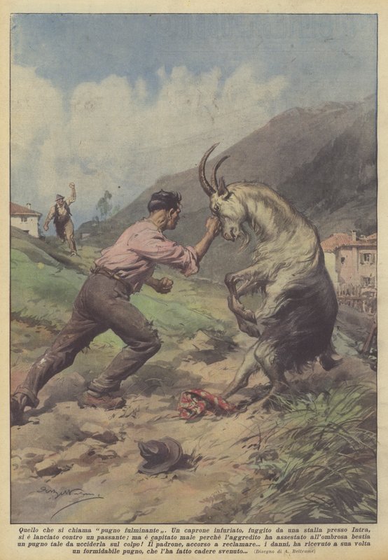 Co se nazývá bleskový úder od Achille Beltrame