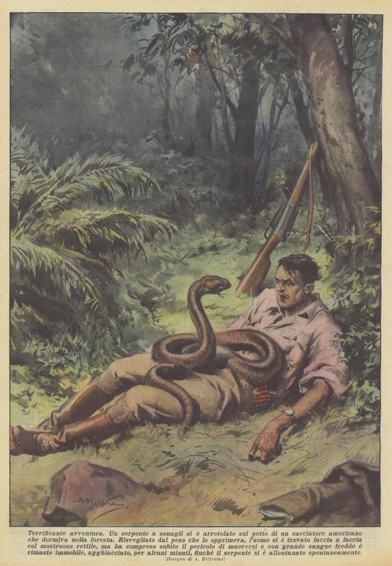 Děsivé dobrodružství od Achille Beltrame