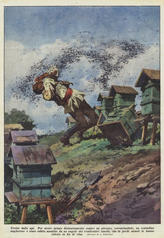 Usmrceny včelami od Achille Beltrame