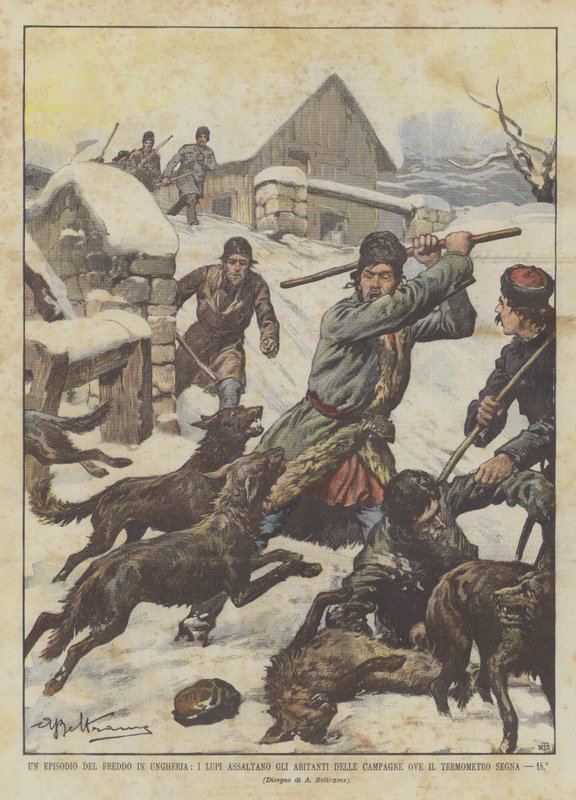 Epizoda chladu v Maďarsku, vlci útočí na obyvatele venkova, kde teploměr ukazuje 15 ° od Achille Beltrame