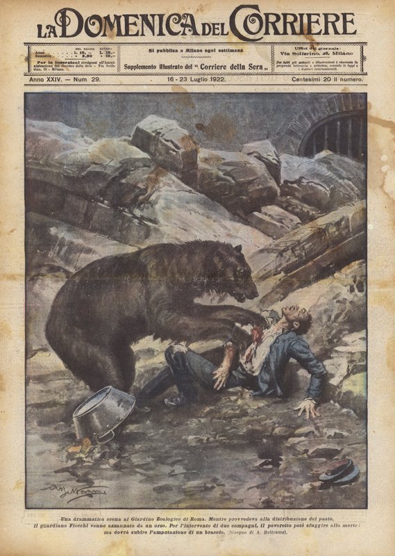 Dramatická scéna v zoologické zahradě v Římě od Achille Beltrame