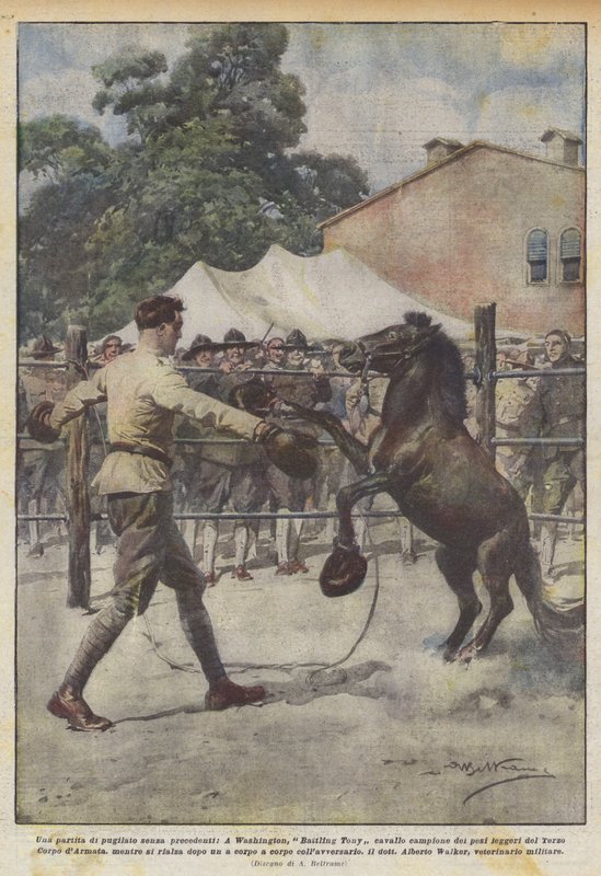 Bezprecedentní boxerský zápas, washingtonský šampion Battling Tony ve váze koně? od Achille Beltrame