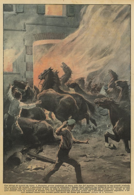 Masakr dostihových koní od Achille Beltrame