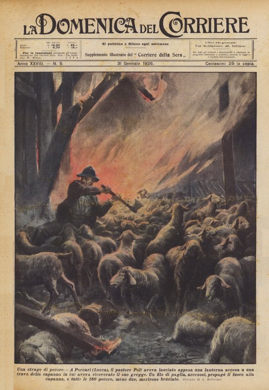 Porážka ovcí od Achille Beltrame