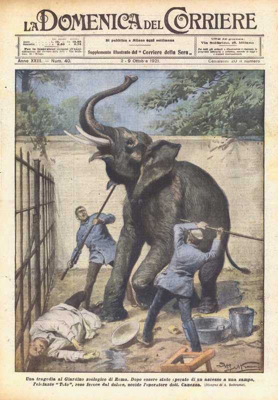 Tragédie v zoologické zahradě v Římě od Achille Beltrame