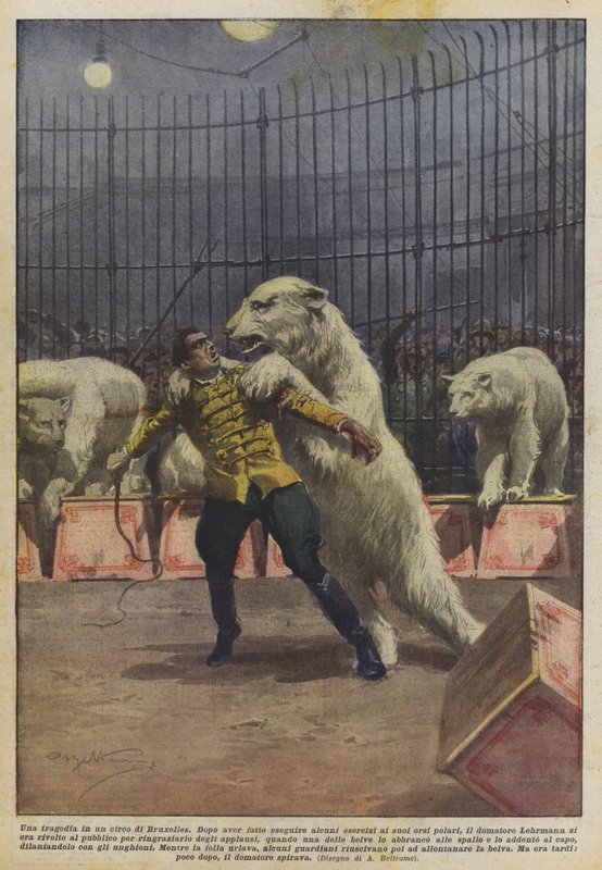 Tragédie v bruselském cirkuse od Achille Beltrame