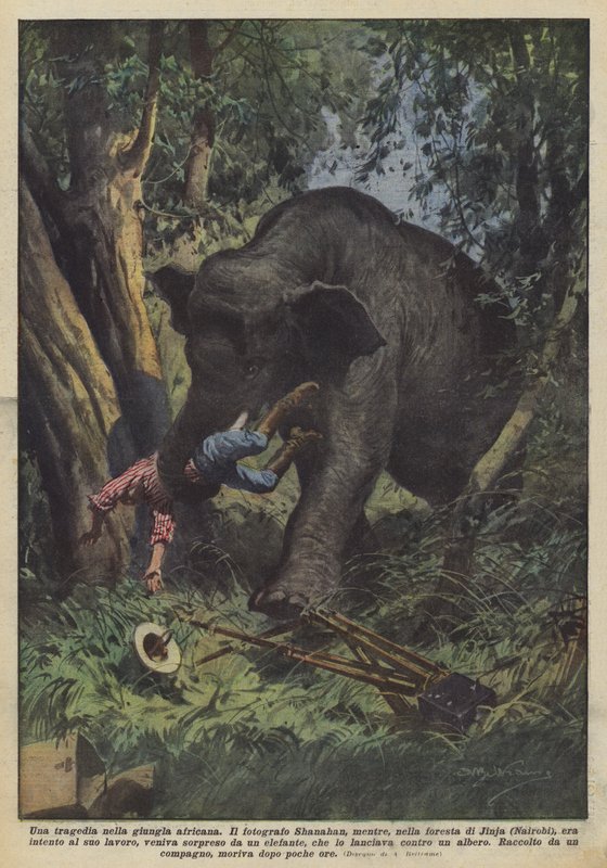 Tragédie v africké džungli od Achille Beltrame