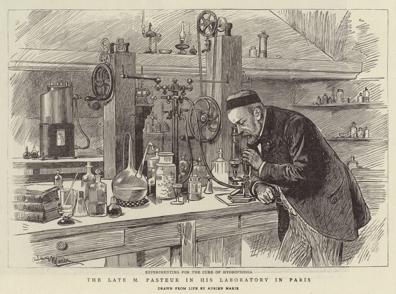 Late M Pasteur ve své laboratoři v Paříži od Adrien Emmanuel Marie