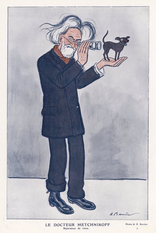 Elie Metchnikoff , ruský zoolog (barevný litho) od Adrien Barrere
