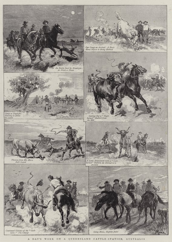 Denní práce na Queensland Cattle-Station, Austrálie od Adrien Emmanuel Marie
