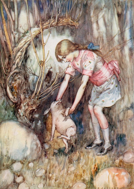 Ilustrace k Alence v říši divů (barevné lito) od Albert Edward Jackson