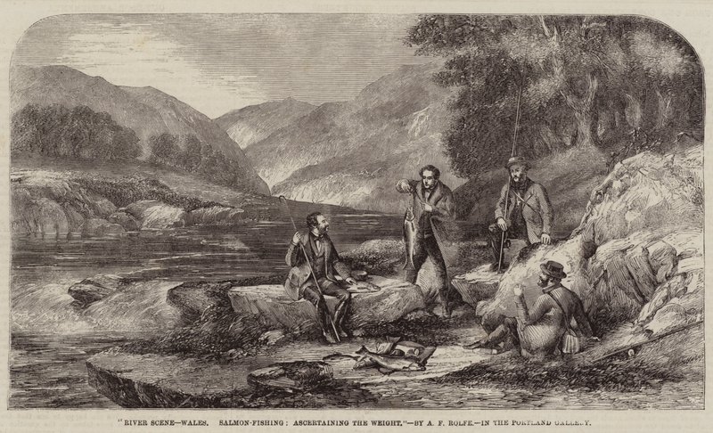 River Scene, Wales, lov lososů, zjišťování hmotnosti od Alexander Rolfe