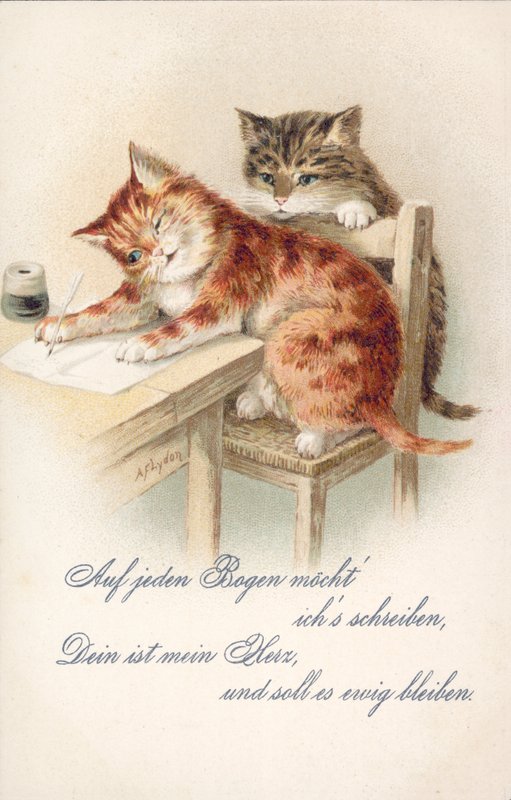 Humoristická pohlednice s kočkou (barevná litografie) od Alexander Francis (after) Lydon