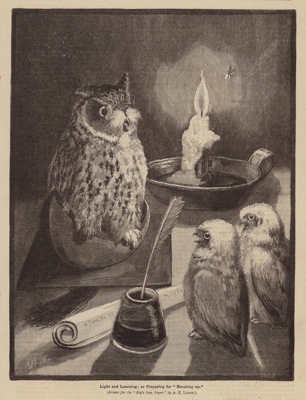 Světlo a učení aneb příprava na rozchod (litografie) od Alexander Francis (after) Lydon