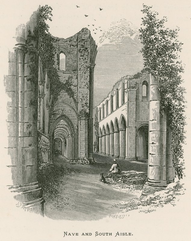 Fountains Abbey, Nave a South Aisle od Alexander Francis Lydon